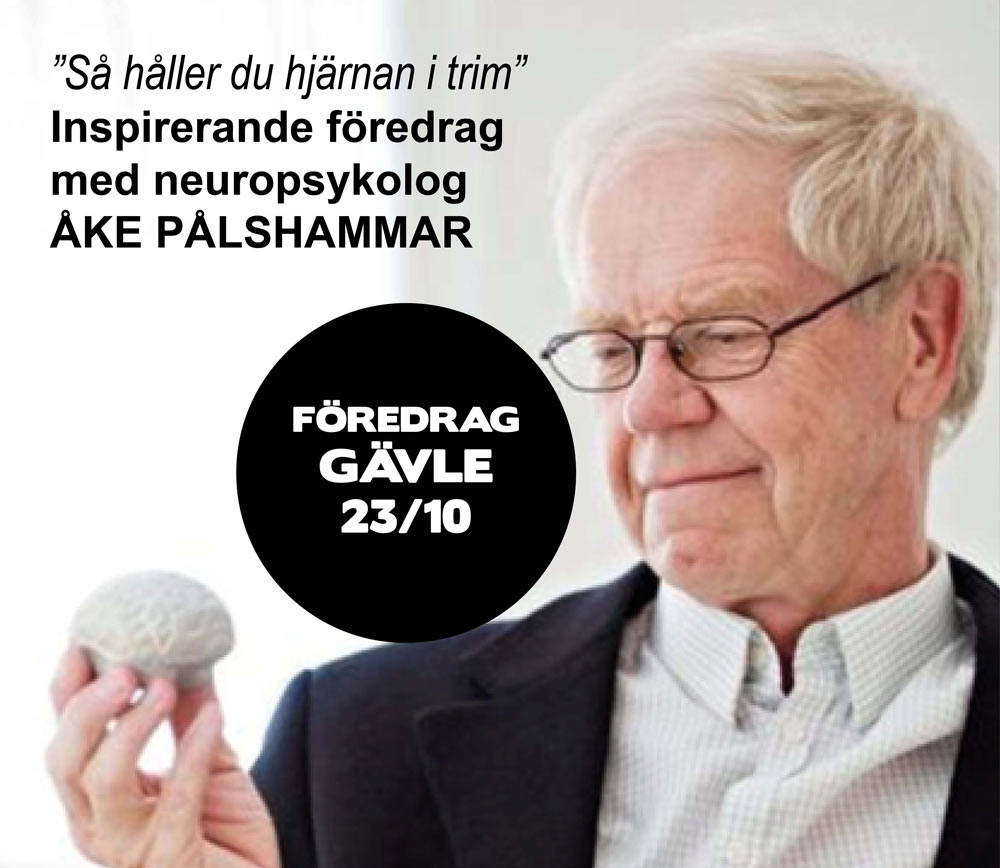Åke Pålshammar