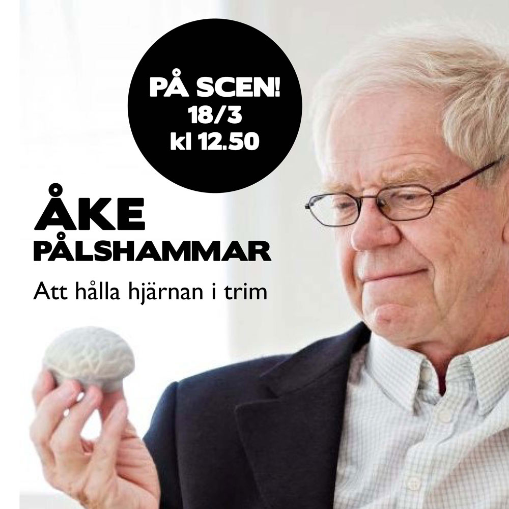Åke Pålshammar - Att hålla hjärnan i trim!